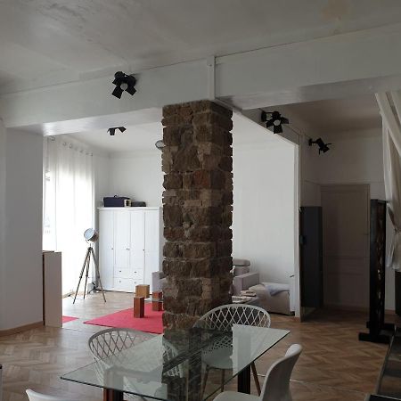 Appartement Loft Ravissant De 60 M2 Nouveau 戛纳 外观 照片